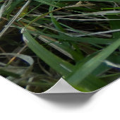 Hirschplakat Poster (Ecke)