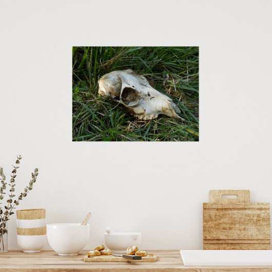 Hirschplakat Poster (Küche)