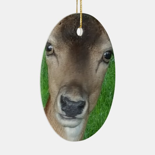 Hirschportrait Fotografie Wildlife Keramikornament (Rechts)