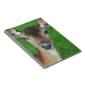 Hirschportrait Fotografie Wildlife Notizblock (Rechte Seite)