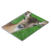 Hirschportrait Fotografie Wildlife Notizblock (Linke Seite)