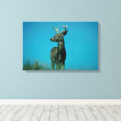 Hirschportrait Leinwanddruck (Insitu (Holzboden))