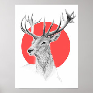 Hirschporträtzeichnung Roter Kreis Tierkunst Poster