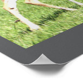 Hirschposter Poster (Ecke)