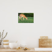 Hirschposter Poster (Küche)