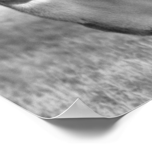 Hirschposter Poster (Ecke)