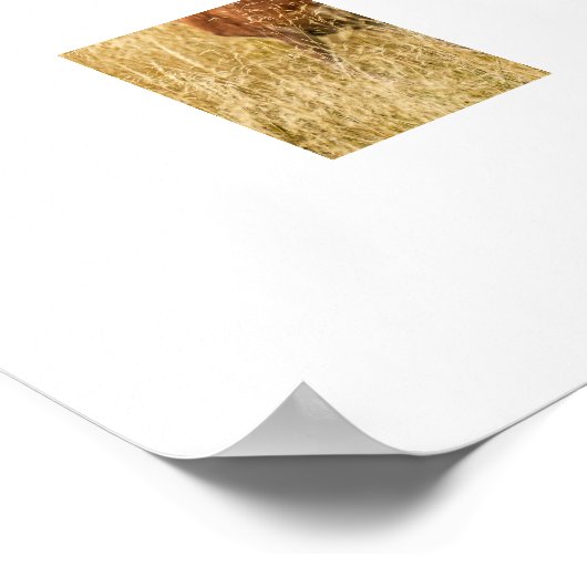 Hirschposter Poster (Ecke)