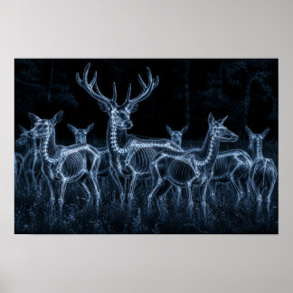 Hirschrudel Nacht Röntgen Poster