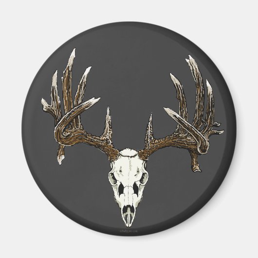 Hirschschädel 1 magnet (Vorne)