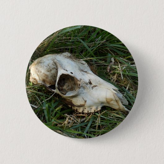 Hirschschädel Abzeichen Button (Vorderseite)