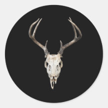 Hirschschädel im Schwarzen Hintergrund