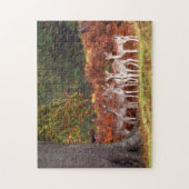 Hirschspielpuzzle Puzzle (Vertikal)