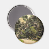Hirschsprung, Schwarzwald, Baden, Deutschland, Kla Magnet (Vorderseite/Rückseite)