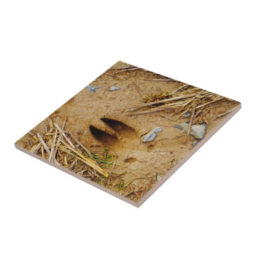 Hirschspur Fliese (Seite)