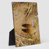 Hirschspur Fotoplatte (Seite)