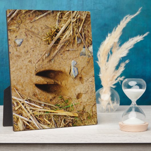 Hirschspur Fotoplatte (Seite)