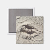 Hirschspur Magnet (Vorderseite/Rückseite)