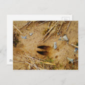 Hirschspur Postkarte (Vorne/Hinten)
