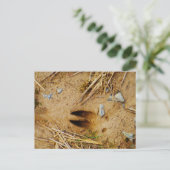 Hirschspur Postkarte (Stehend Vorderseite)
