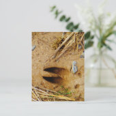 Hirschspur Postkarte (Stehend Vorderseite)