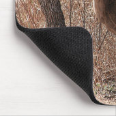 Hirschstarre Mousepad (Ecke)
