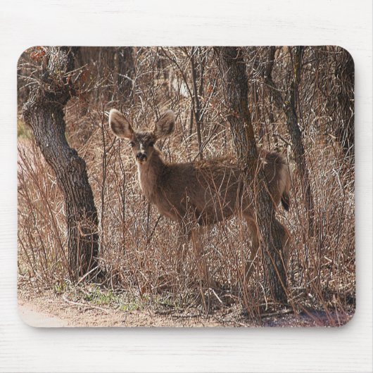 Hirschstarre Mousepad (Vorne)
