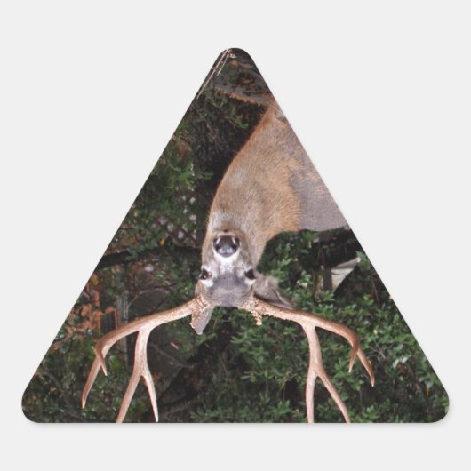 Hirschsticker Dreieckiger Aufkleber (Vorderseite)