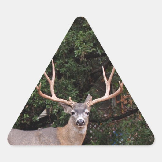 Hirschsticker Dreieckiger Aufkleber (Vorderseite)