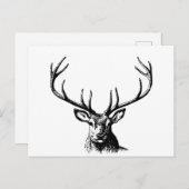 Hirschtierantler Natur Wildtierhörner Kopf Postkarte (Vorne/Hinten)
