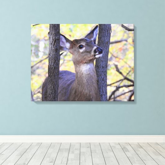 Hirschtreffen im Wald Leinwanddruck (Insitu (Holzboden))