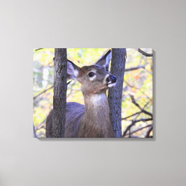 Hirschtreffen im Wald Leinwanddruck