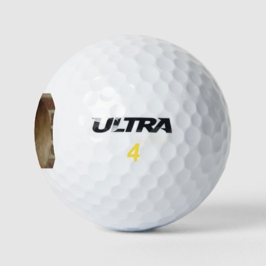 Hirschtrophie Golf Balls Golfball (Logo)