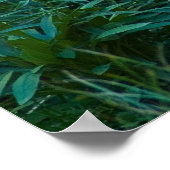 Hirschweide 1 poster (Ecke)