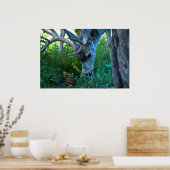 Hirschweide 1 poster (Küche)