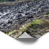 Hirschweide Lyme Park Postcard Poster (Ecke)