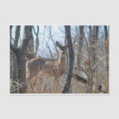 Hirschwoods Herbst Seidenpapier (Vorderseite)