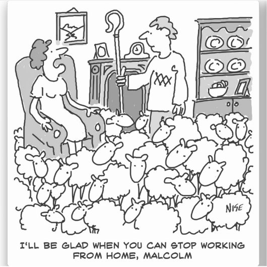 Hirte arbeitete mit seiner Schafe von Zuhause Aufkleber (Vorderseite)