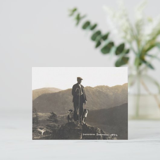 Hirte Borrowdale 1904 Postkarte (Stehend Vorderseite)