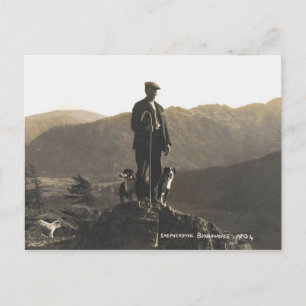 Hirte Borrowdale 1904 Postkarte