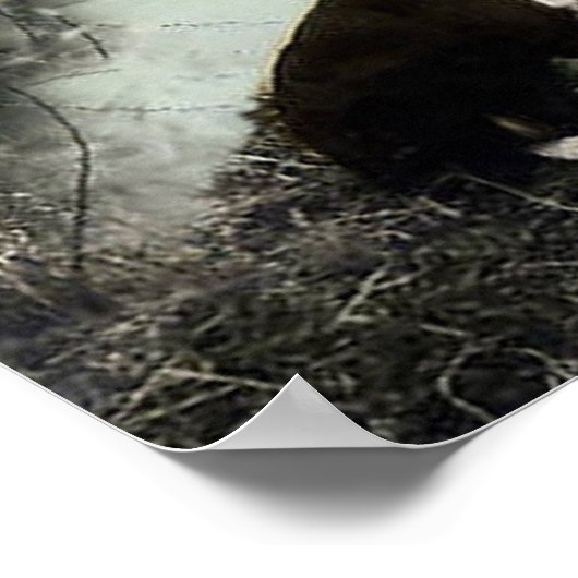 Hirte mit Lamm und Border Collie~Poster Poster (Ecke)