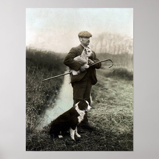 Hirte mit Lamm und Border Collie~Poster Poster (Vorne)