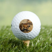 Hirte mit Pferd (Pferd) Golfball (Insitu T-Shirt)