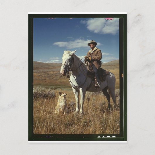 Hirte mit Pferd und Hund auf Gravelly Range Postkarte (Vorderseite)