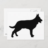 Hirte Postkarte (Vorne/Hinten)