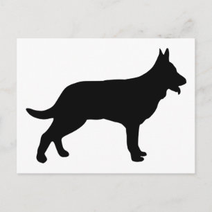 Hirte Postkarte