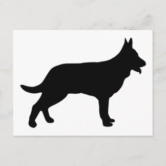 Hirte Postkarte