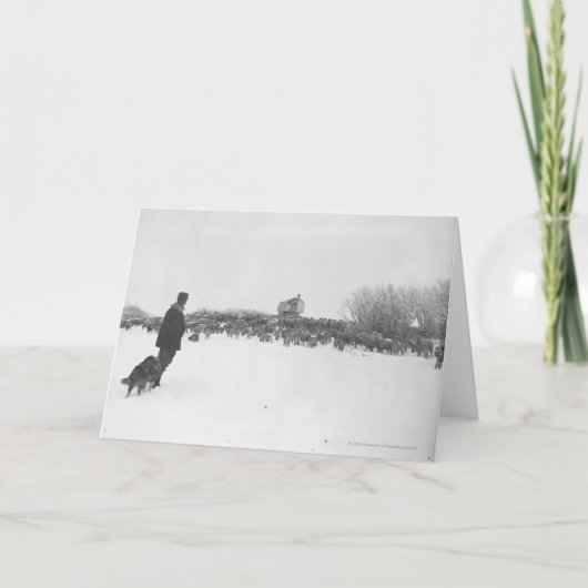 Hirte und Hund im Schaflager Karte (Vorderseite)