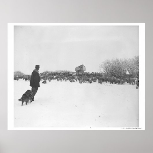 Hirte und Hund im Schaflager Poster (Vorne)