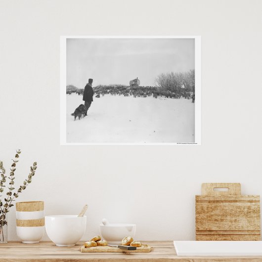 Hirte und Hund im Schaflager Poster (Küche)