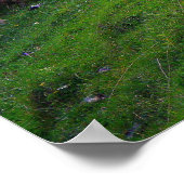 Hirte und seine Schafe Poster (Ecke)